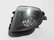 Nebelscheinwerfer links BMW 5 Gran Turismo (F07) 530 d 7199619