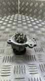 Wasserpumpe RENAULT MEGANE III Hatchback (BZ0_) 1.2 TCe 210106094R