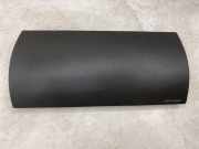 Luftmikrofilterabdeckung NISSAN PATHFINDER III (R51) 2.5 dCi 4WD 0F509477