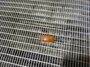 Kotflügelblinker vorne links SUZUKI JIMNY (FJ) 1.3 16V 4WD (SN413) 010175