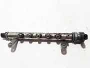 Einspritzleiste Land Rover Range Rover Evoque I (L538) 9670890580