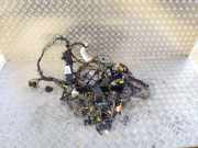 Kabelbaum Ford Focus IV (HN) AV6T9A340