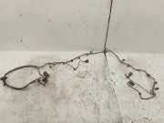 Kabelbaum Hinteren Parksensoren