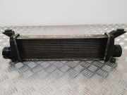 Ladeluftkühler MERCEDES-BENZ A (W168) A 170 CDI (168.008) A1685000000