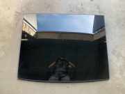Luke HYUNDAI SANTA FÉ III (DM) 2.2 CRDi 4WD 43R000359
