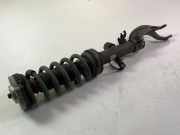 Stoßdämpfer vorne links BMW X6(G06) (G06, F96) M 9500363