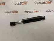 Riemenspanner MERCEDES-BENZ C (W202) C 220 D (202.121) 533005820