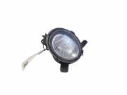 Nebelscheinwerfer rechts vorne BMW 1er (F20) 7200100001