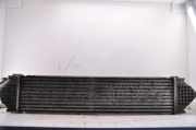 Ladeluftkühler Ford S-Max I (WA6) 6G919L440FD