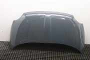 Motorhaube Fiat 500 (312)