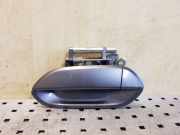 Türgriff links hinten Honda Insight (ZE) TM8RRL