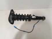 Stoßdämpfer links hinten BMW X6 (G06, F96) 6896441