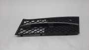 Kühlergrill unten BMW 5er (F10) 7200699