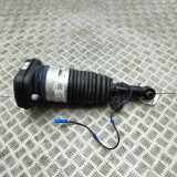 pneumatischer Stoßdämpfer hinten rechts