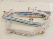Airbag Dach links BMW 5er (F10) 306449110