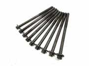 Zylinderkopfschraubensatz BMW 5er (F10)