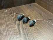 Andere Steuergeräte RENAULT MASTER II Furgon (FD) 3.0 dCi 140 (HD0S, FD0S, HD1S) 7700831090