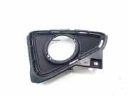 Nebelscheinwerferverkleidung TOYOTA RAV 4 IV (_A4_) 2.0 4WD (ZSA44_) 5204042060