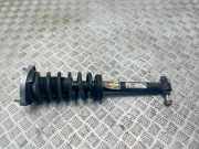 Stoßdämpfer hinten rechts MERCEDES-BENZ SL (R231) 500 (231.473) A2313208213 2313208213