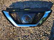 Vorderer oberer Gitter NISSAN QASHQAI II (J11, J11_) 1.2 DIG-T 62890hv01 slm06203