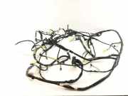 Kabelbaum TOYOTA AVENSIS Estate (_T27_) 2.0 D-4D (ADT270_) 02238 8216105