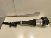 Pneumo-Stoßdämpfer hinten links MERCEDES-BENZ S (W222, V222, X222) S 350 BlueTEC / d (222.132, 222.032, 222.123) A2223250019EFH