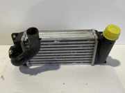 Ladeluftkühler TOYOTA AURIS (_E15_) 1.4 (ZZE150_) JD1270000921