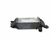 Ladeluftkühler NISSAN JUKE (F15) 1.5 dCi CY178004