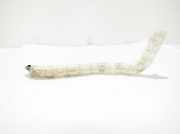 Stoßstangenhalterung hinten links SUZUKI GRAND VITARA II (JT, TE, TD) 1.9 DDiS 4WD (TD44, JT419, JB419WD)