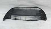 Vorderer oberer Gitter TOYOTA YARIS (_P13_) 1.4 D-4D (NLP130_) 531120D820