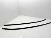 Dachleiste links BMW X6 (F16, F86) xDrive 40 d