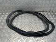 Türgummi rechts hinten BMW 5er Touring (G31) 7337003