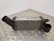 Ladeluftkühler CITROËN DS5 2.0 BlueHDi 150 9673015780