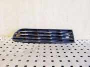 Gitter vorne unten AUDI A6 Avant (4A, C4) 2.8 AD99009