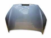 Motorhaube PEUGEOT 407 SW (6E_) 2.0 HDi 135