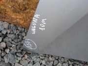 Motorhaube RENAULT LAGUNA Coupe (DT0/1) 2.0 dCi (DT01, DT09, DT12, DT1D)