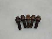 Schrauben VW TRANSPORTER VI (T6) Minibus / passenger (SGB, SGG, SGJ) 2.0 TDI 4motion