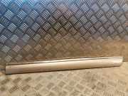 Türverkleidung links hinten Mercedes-Benz S-Klasse (W220) 2206900762