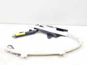 Airbag Dach links Mercedes-Benz S-Klasse CL Coupe (C215) 2158600105