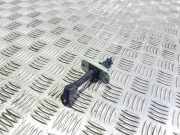 Türanschlag hinten links