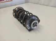 Stoßdämpfer vorne links SEAT IBIZA III (6L1) 1.4 16V 6Q0413031BR