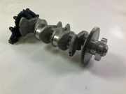 Kurbelwelle VW TRANSPORTER VI (T6) Furgon (SGA, SGH) 2.0 TDI 05L105101D