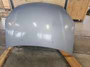 Motorhaube SUZUKI LIANA Estate (ER) 1.6