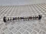 Auspuffkrümmer Audi A3 Sportback (8V) 078109115H