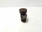 Riemenspanner AUDI A6 Avant (4F5, C6) 2.0 TDI 038903315AG