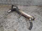 Abgaskühler Audi A6 Avant (4F, C6) 55202430
