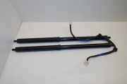 Schließzylinder Heckdeckel Lexus RX 4 (L2) 68920480306891048070