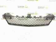 Kühlergrill unten Mercedes-Benz C-Klasse (W204) 2048851324
