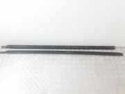 Dachreling links Land Rover Discovery III (L319) CAC000172PVJ