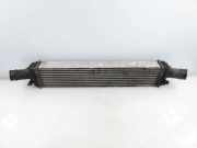 Ladeluftkühler AUDI A5 (8T3) 2.7 TDI 8K0145805E